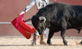 Jueza niega suspender corridas de toros en la Plaza México