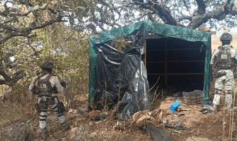 Hallan 11 artefactos explosivos en campamento clandestino en Jalisco