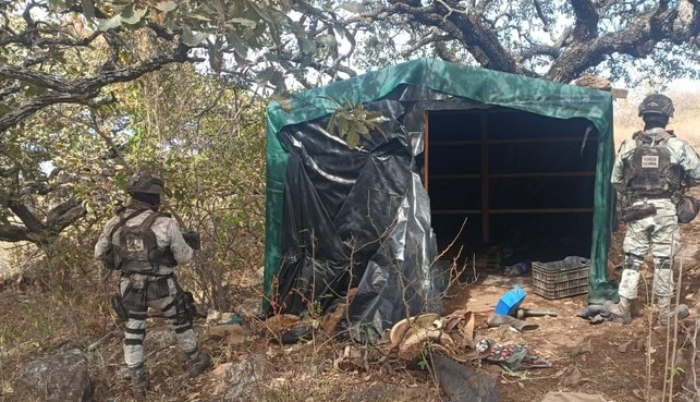 Hallan 11 artefactos explosivos en campamento clandestino en Jalisco