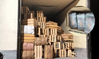 Detienen a sujeto por transportar 661 kilos de cocaína entre cajas con nopales