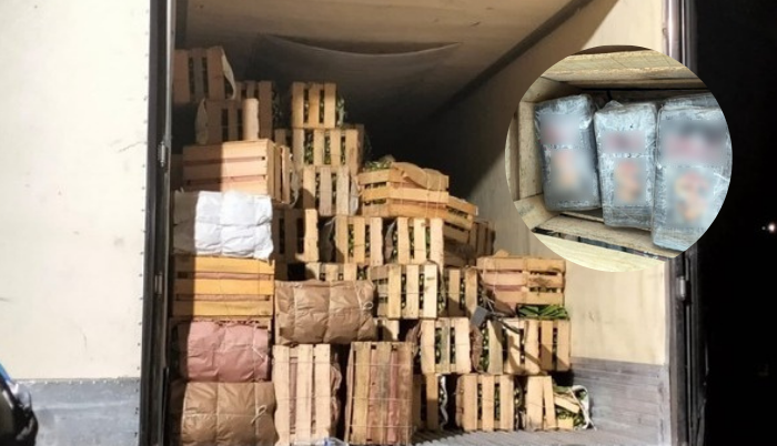 Detienen a sujeto por transportar 661 kilos de cocaína entre cajas con nopales