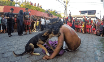 Perrito en situación de calle interrumpe viacrucis para consolar a actor que interpretaba a Jesús