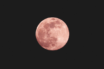La Luna Rosa iluminará el firmamento el 23 de abril | Foto de uomo libero en Unsplash