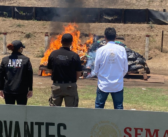 FGR incinera tres toneladas de cocaína en Michoacán