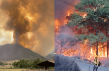 Incendio forestal arrasa Mascota: más de 120 brigadistas luchan contra las llamas