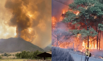 Incendio forestal arrasa Mascota: más de 120 brigadistas luchan contra las llamas