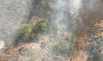 Logran contener incendio en Mascota