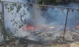 Voraz incendio en lote baldío en Versalles moviliza a bomberos