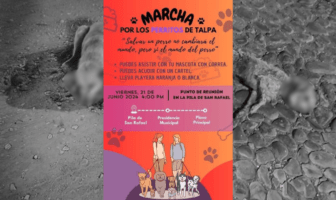Actos de crueldad: Reportan más de 30 perros envenenados en Talpa de Allende y Mascota