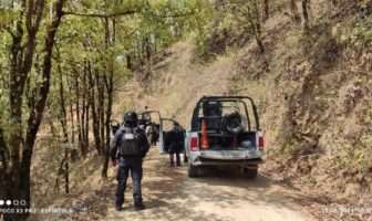 Acapulco vive jornada violenta con saldo de 8 personas asesinadas