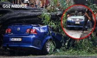 Árbol cae sobre auto en CdMx y mata a mujer, pero su bebé sobrevive