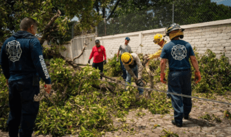 Autoridades nayaritas atiende emergencias por Tormenta Tropical "Carlotta"