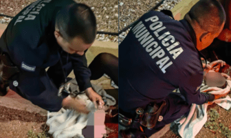 Bebé nace en la calle con ayuda de elementos de la Policía en Sonora