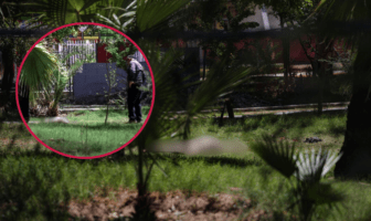 Mujer muere atacada por perros callejeros en parque de Mexicali
