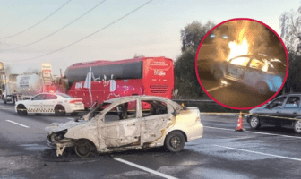 Hallan tres cuerpos calcinados en auto abandonado en la autopista México-Puebla
