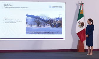 Arranca el “Bachetón”: Nayarit entre los primeros estados beneficiados Arranca el "Bachetón": Nayarit entre los primeros estados beneficiados