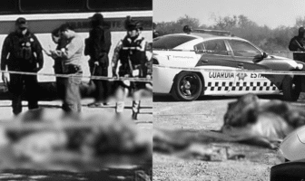 Hallan seis cuerpos con signos de tortura en carretera de Tamaulipas