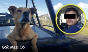 Detienen a sujeto por arrastrar a un lomito con una motocicleta en Tonalá