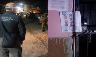Desmantelan invernadero de marihuana en Puerto Vallarta