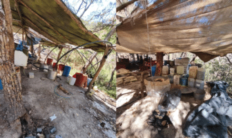 Aseguran laboratorio clandestino con casi ocho toneladas de metanfetamina en Nayarit