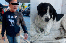 Detienen a mujer por atacar con machete a un perro en Zitácuaro, Michoacán