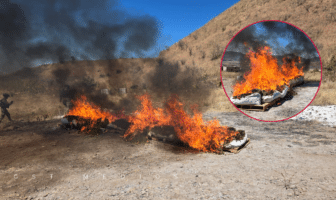 FGR incinera más de 200 kilos de marihuana en Nayarit