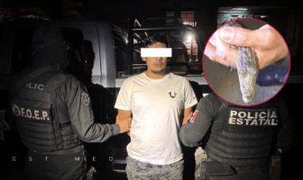 Detienen a joven con mini cocodrilo en Tonalá