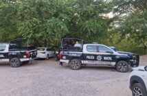 Detienen a integrante de banda dedicada al robo en tiendas departamentales