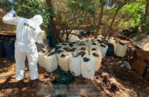 Aseguran seis laboratorios clandestinos y más de 4.8 toneladas de droga en Sinaloa