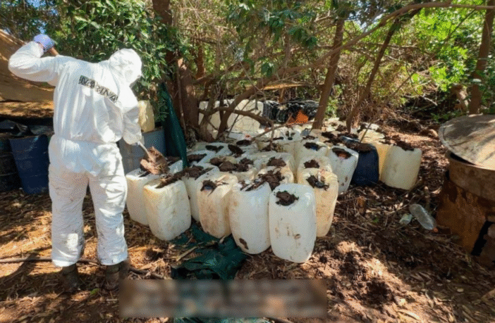 Aseguran seis laboratorios clandestinos y más de 4.8 toneladas de droga en Sinaloa
