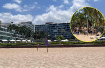 Nuevamente cierran playas en Bahía de Banderas por presencia de cocodrilo