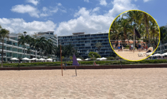 Nuevamente cierran playas en Bahía de Banderas por presencia de cocodrilo