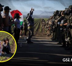 ICE realiza redadas migratorias en campos agrícolas de california