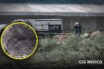 Avanza identificación de restos en Las Agujas; suman al menos 54 víctimas
