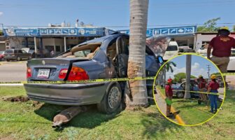BMW se impacta y termina incrustado en una palmera en Bucerías