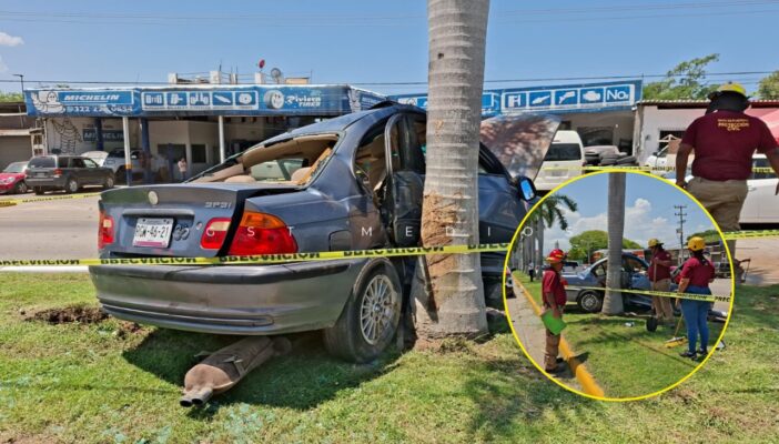 BMW se impacta y termina incrustado en una palmera en Bucerías
