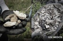 Guerreros Buscadores de Jalisco descubren restos humanos calcinados en Cerro de Cuauhtépetl
