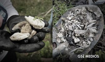 Guerreros Buscadores de Jalisco descubren restos humanos calcinados en Cerro de Cuauhtépetl