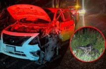 Taxi y motociclista protagonizan accidente vial en la carretera 544