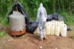 Se desmantela laboratorios de metanfetamina y plantío de marihuana en Sinaloa