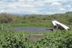 Noticias de Puerto Vallarta | NotiespacioPV | PROEPA clausuró cuatro establecimientos por el incumplimiento de la ley ambiental en Jalisco