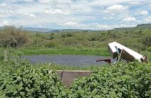 Noticias de Puerto Vallarta | NotiespacioPV | PROEPA clausuró cuatro establecimientos por el incumplimiento de la ley ambiental en Jalisco