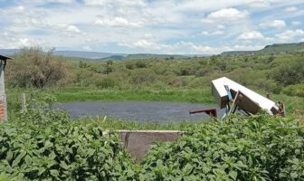 Noticias de Puerto Vallarta | NotiespacioPV | PROEPA clausuró cuatro establecimientos por el incumplimiento de la ley ambiental en Jalisco