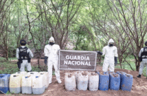 Continúan los desmantelamientos de laboratorios clandestinos en Sinaloa