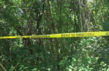 Noticias de Puerto Vallarta | NotiespacioPV | Tres personas fallecen tras caer a un barranco en El Jorullo