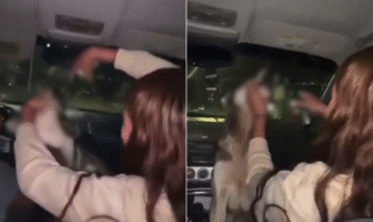 Indignación en redes: estudiantes hacen beber alcohol a una perrita callejera Indignación en redes: estudiantes hacen beber alcohol a una perrita callejera
