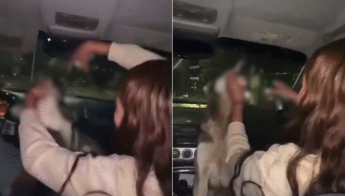 Indignación en redes: estudiantes hacen beber alcohol a una perrita callejera