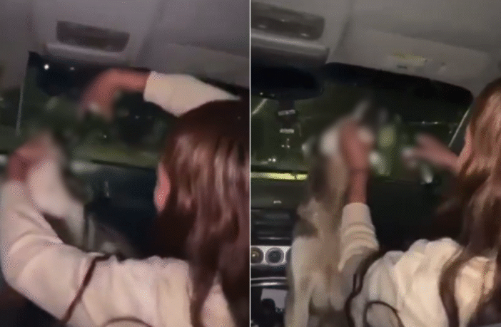 Indignación en redes: estudiantes hacen beber alcohol a una perrita callejera