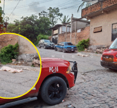 Muere hombre tras brutal ataque de abejas en la colonia El Coapinole