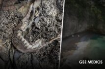 Hallan mandíbula humana en playa Paredón de Puerto Vallarta